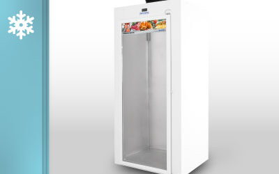 Freezer 1.105 Litros Porta de Vidro